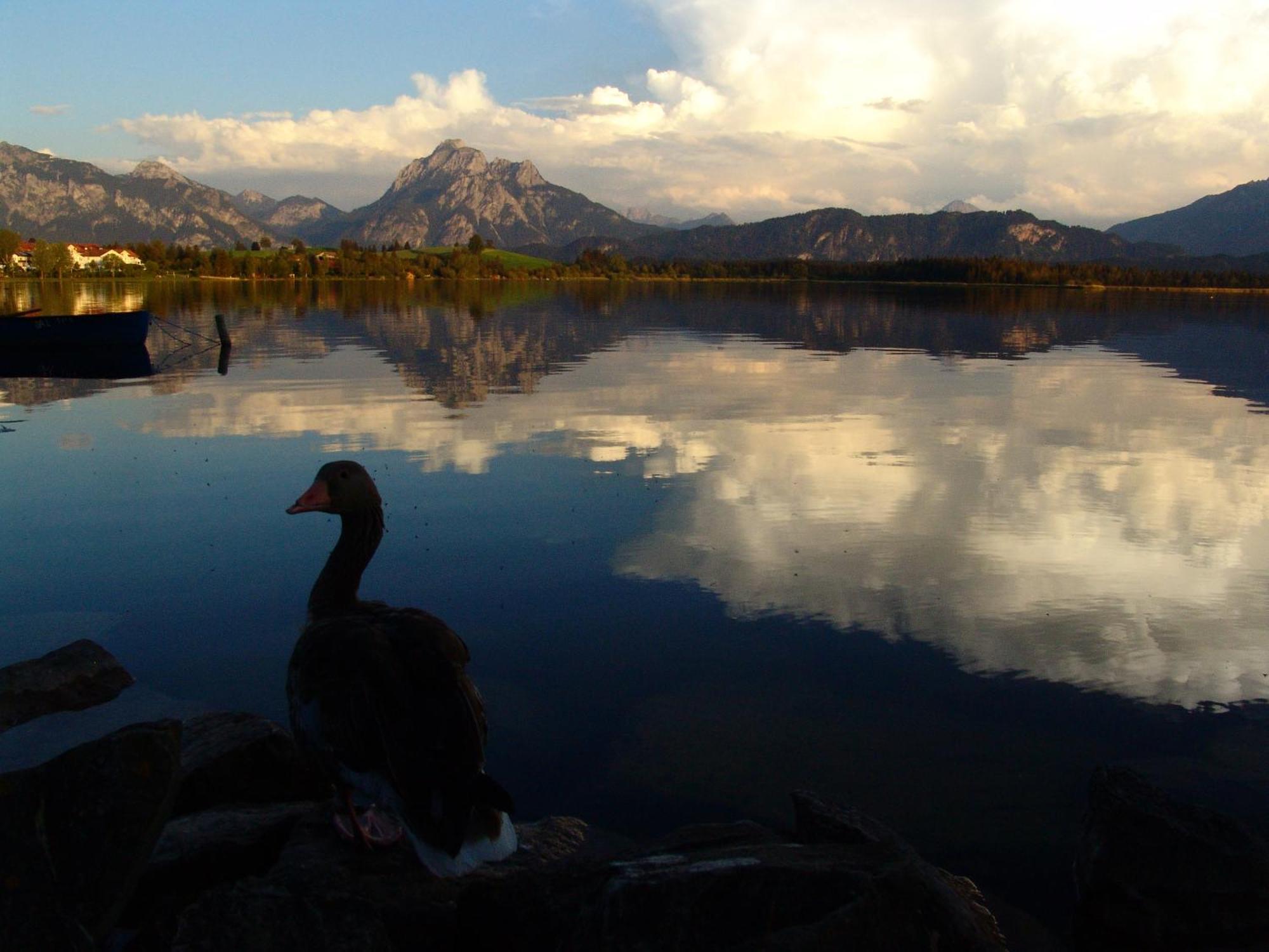 Hintere Schoene Rieden am Forggensee Zewnętrze zdjęcie