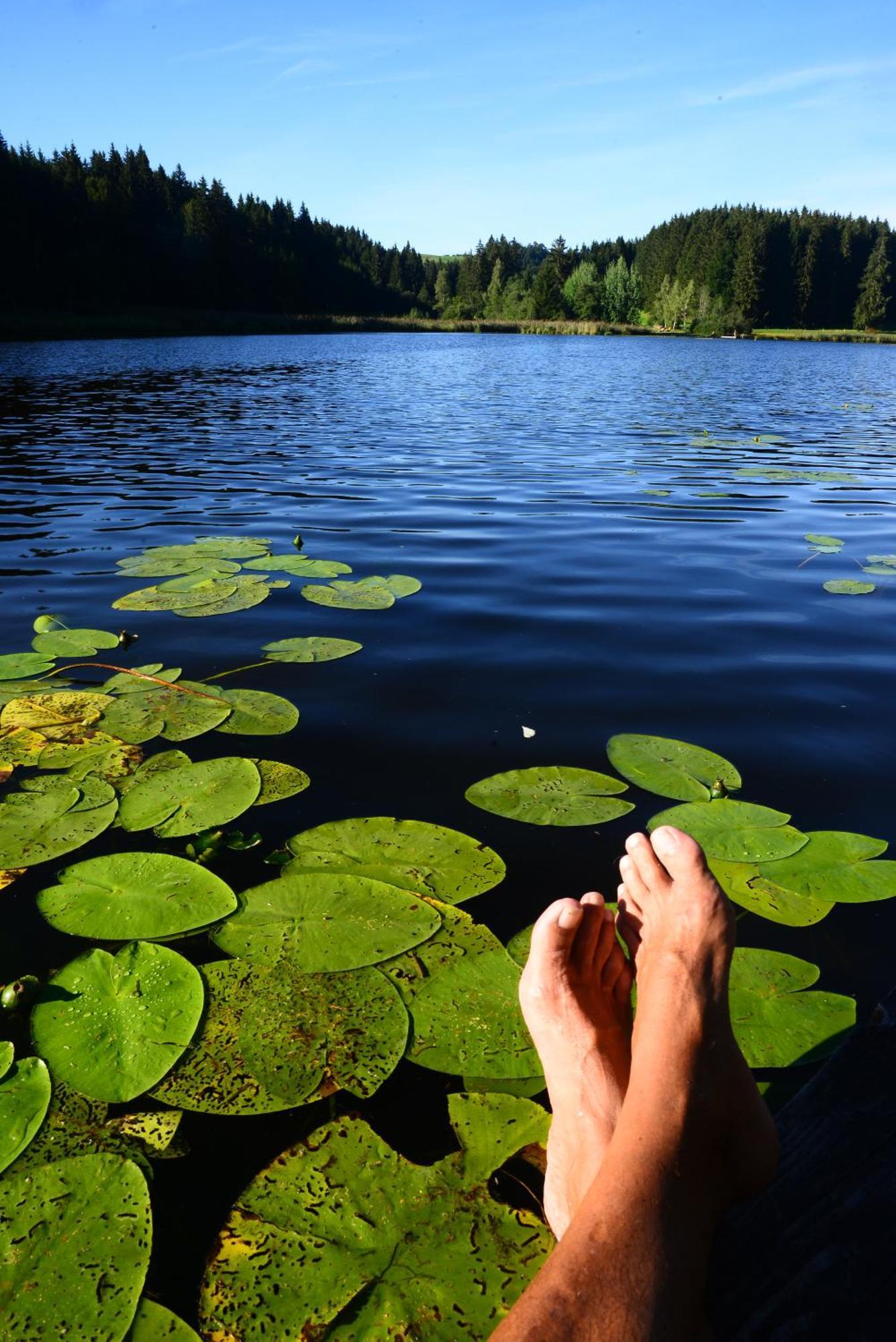 Hintere Schoene Rieden am Forggensee Zewnętrze zdjęcie